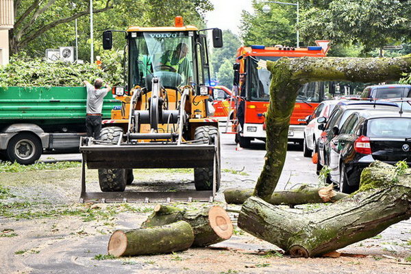 Feuerwehr_Baum   025.jpg